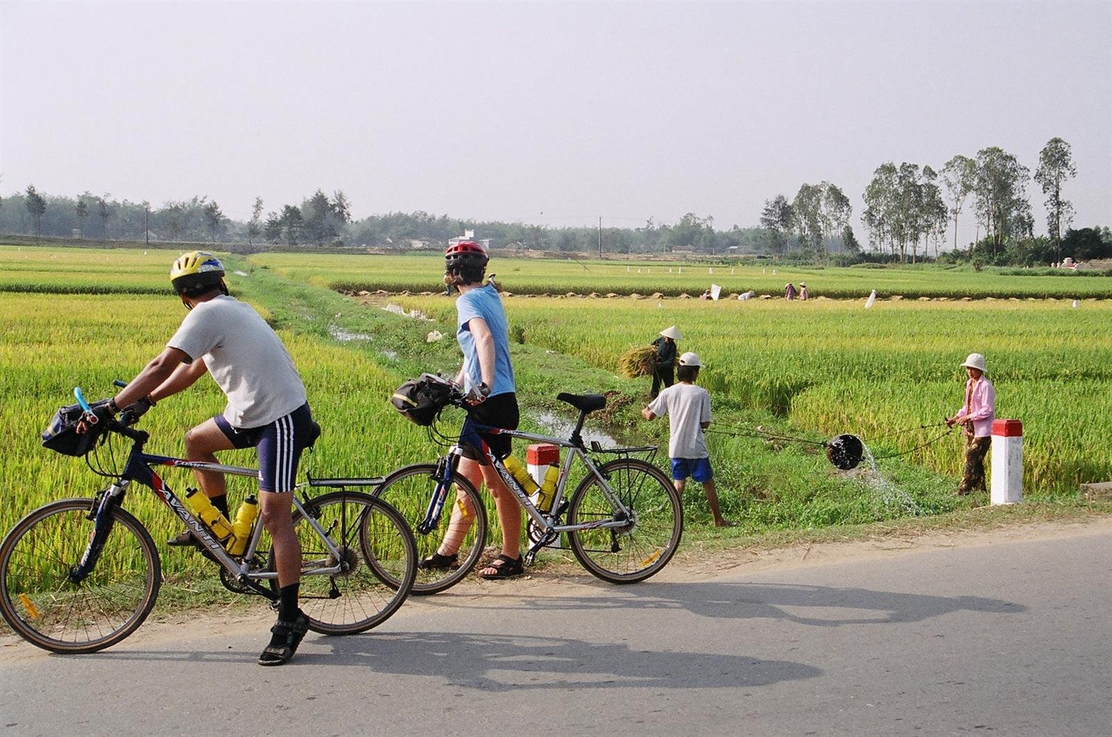 Mekong Delta Cycle Tour My Tho, Cai Be, Can Tho 2 Days